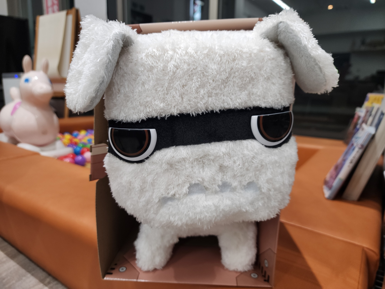 新たな仲間が加わりました😘